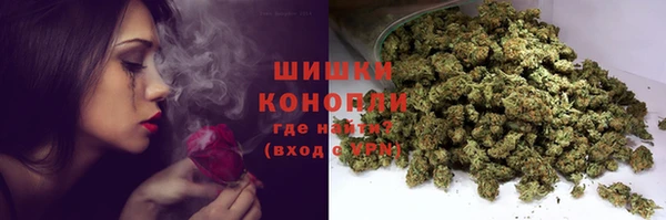 прущий лед Богородск