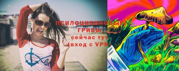бошки Богданович