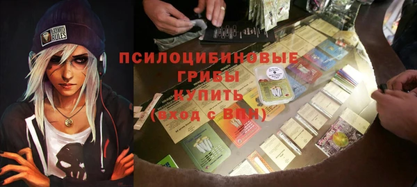 прущий лед Богородск