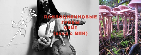 2c-b Богородицк